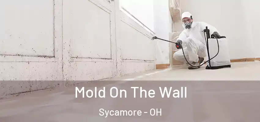  Mold On The Wall Sycamore - OH