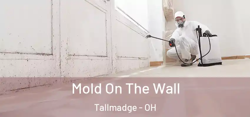 Mold On The Wall Tallmadge - OH