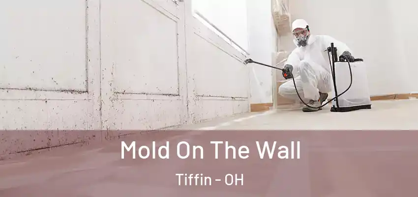  Mold On The Wall Tiffin - OH