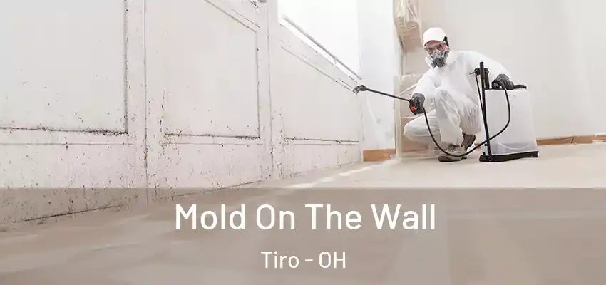 Mold On The Wall Tiro - OH