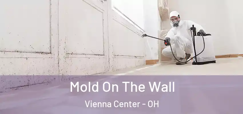  Mold On The Wall Vienna Center - OH