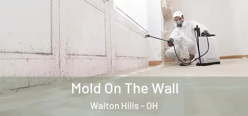 Mold On The Wall Walton Hills - OH