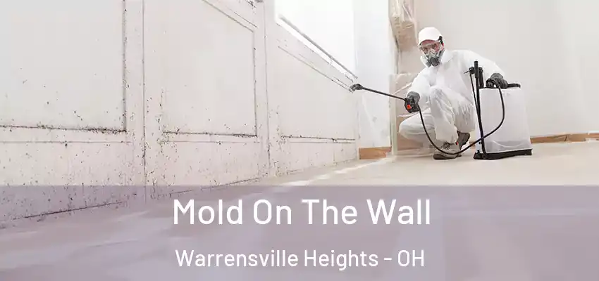 Mold On The Wall Warrensville Heights - OH