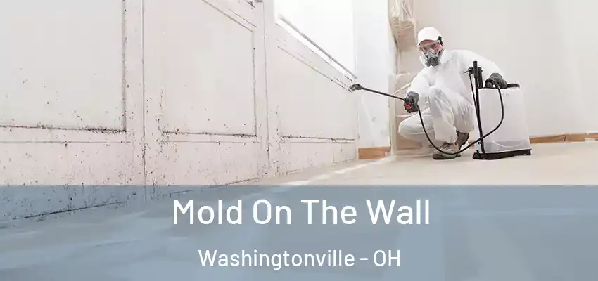  Mold On The Wall Washingtonville - OH
