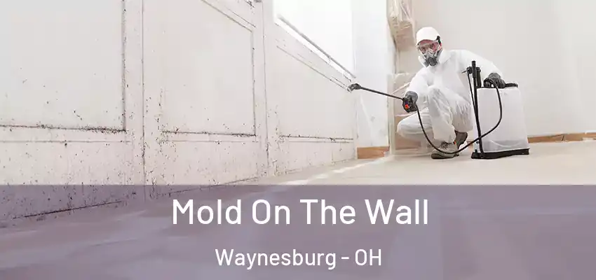  Mold On The Wall Waynesburg - OH