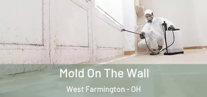  Mold On The Wall West Farmington - OH