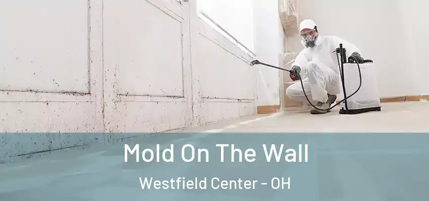 Mold On The Wall Westfield Center - OH