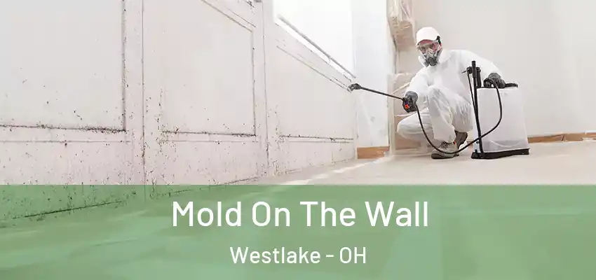 Mold On The Wall Westlake - OH
