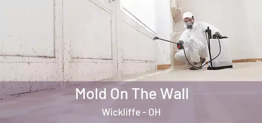 Mold On The Wall Wickliffe - OH