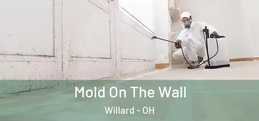 Mold On The Wall Willard - OH