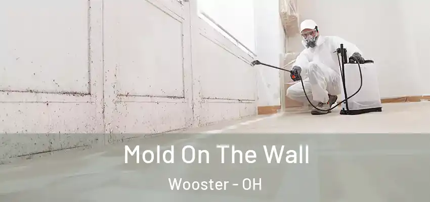 Mold On The Wall Wooster - OH
