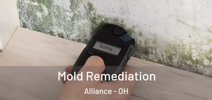 Mold Remediation Alliance - OH
