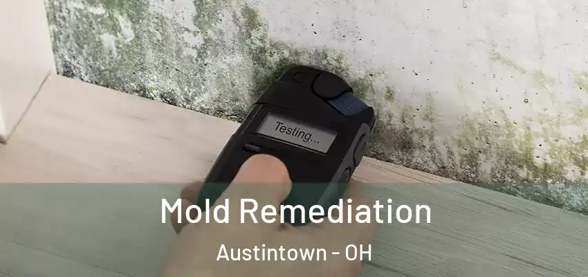 Mold Remediation Austintown - OH