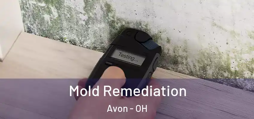 Mold Remediation Avon - OH