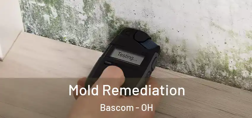 Mold Remediation Bascom - OH