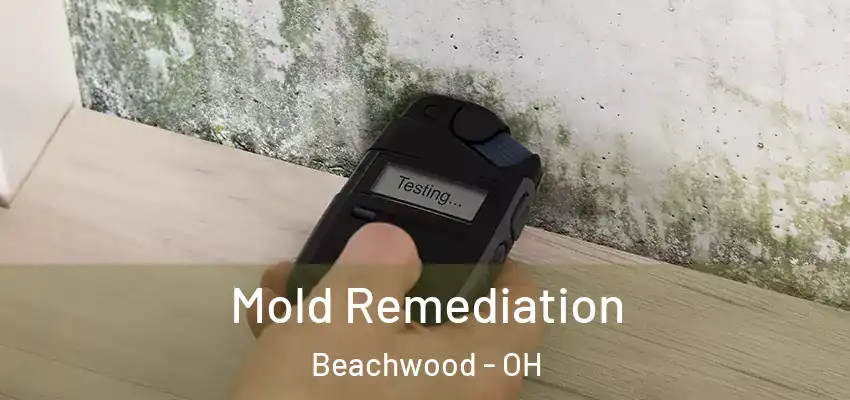 Mold Remediation Beachwood - OH