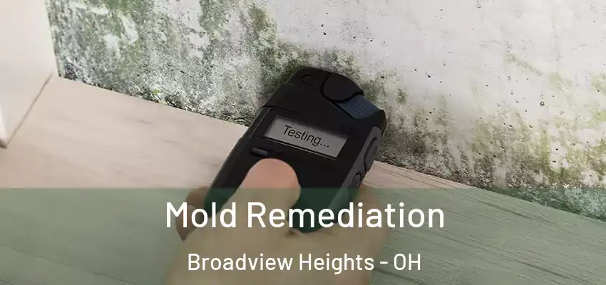 Mold Remediation Broadview Heights - OH