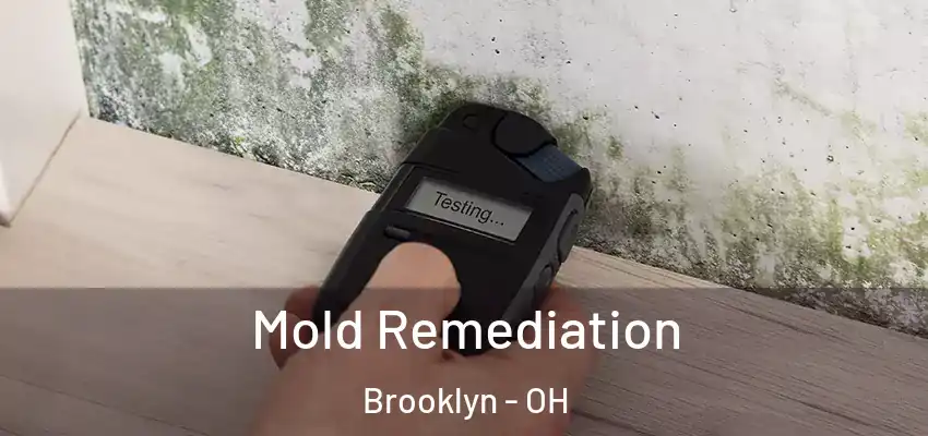  Mold Remediation Brooklyn - OH