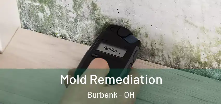 Mold Remediation Burbank - OH
