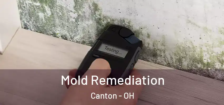 Mold Remediation Canton - OH