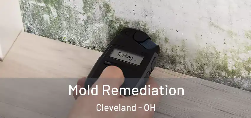 Mold Remediation Cleveland - OH