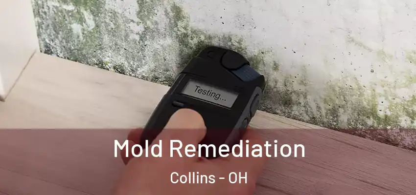 Mold Remediation Collins - OH
