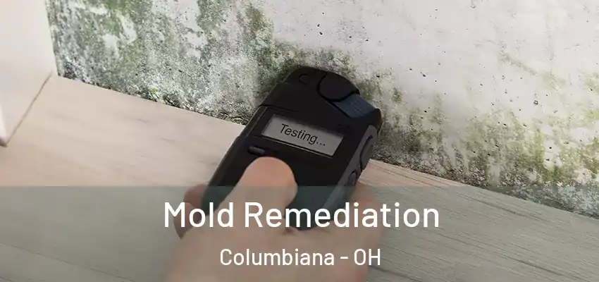  Mold Remediation Columbiana - OH
