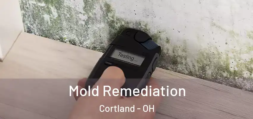 Mold Remediation Cortland - OH