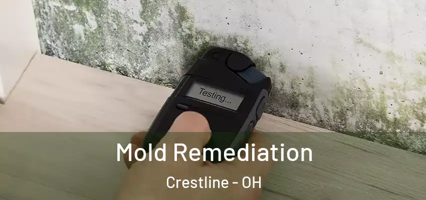 Mold Remediation Crestline - OH