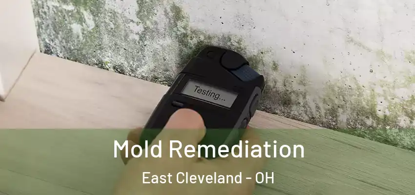  Mold Remediation East Cleveland - OH