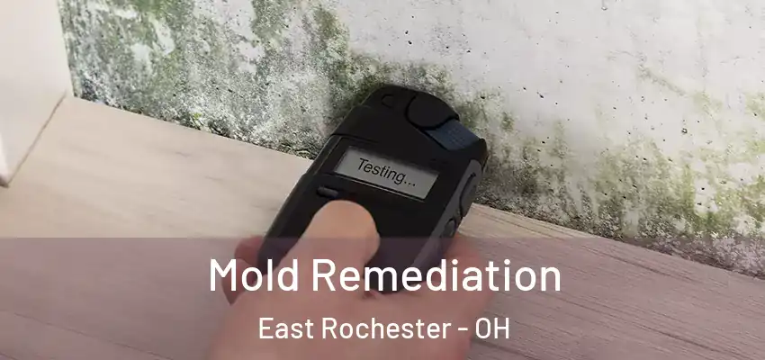  Mold Remediation East Rochester - OH