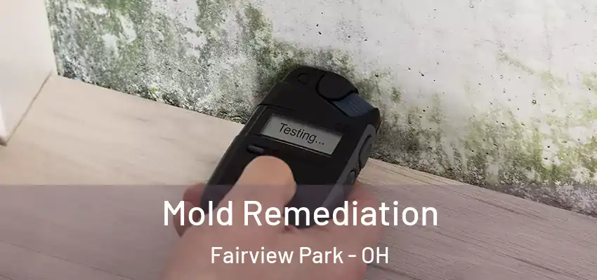 Mold Remediation Fairview Park - OH