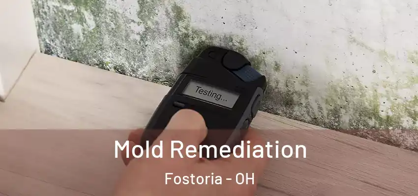 Mold Remediation Fostoria - OH