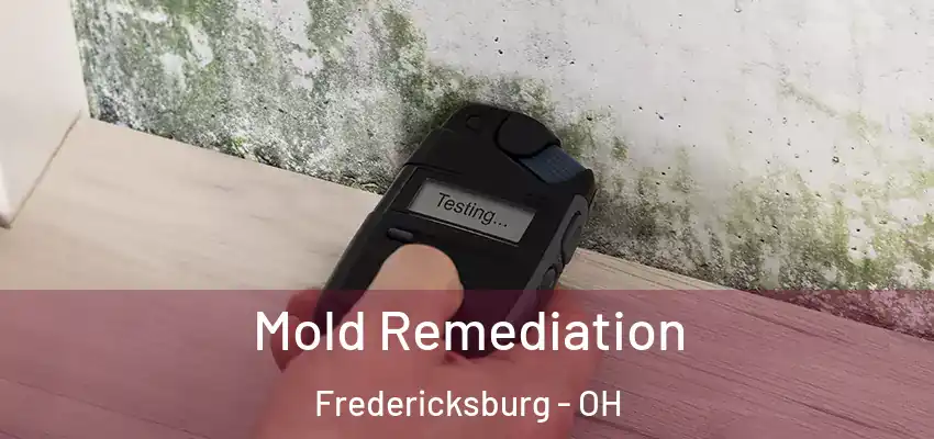Mold Remediation Fredericksburg - OH