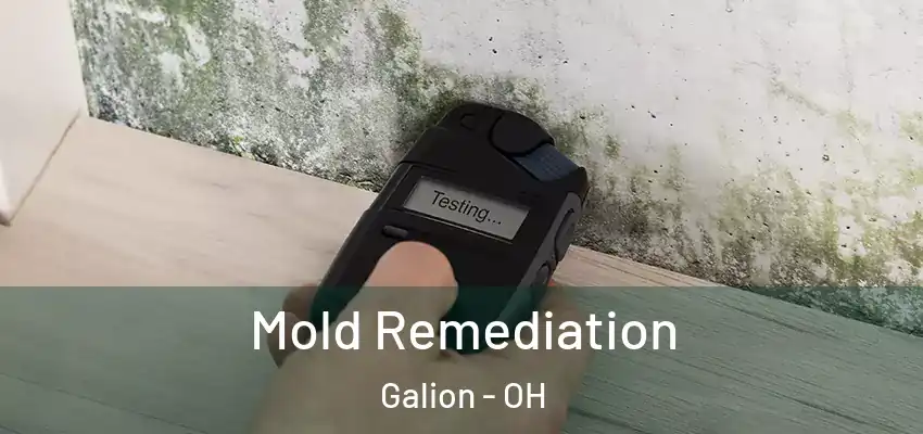 Mold Remediation Galion - OH