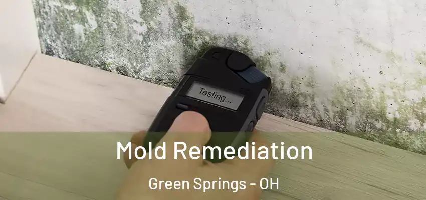  Mold Remediation Green Springs - OH