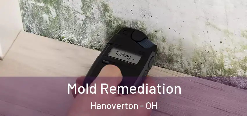 Mold Remediation Hanoverton - OH