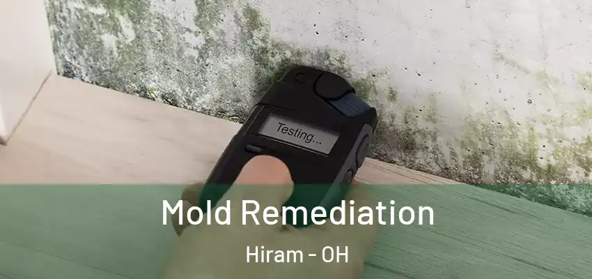 Mold Remediation Hiram - OH