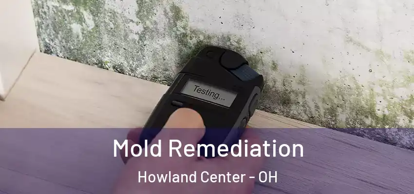  Mold Remediation Howland Center - OH