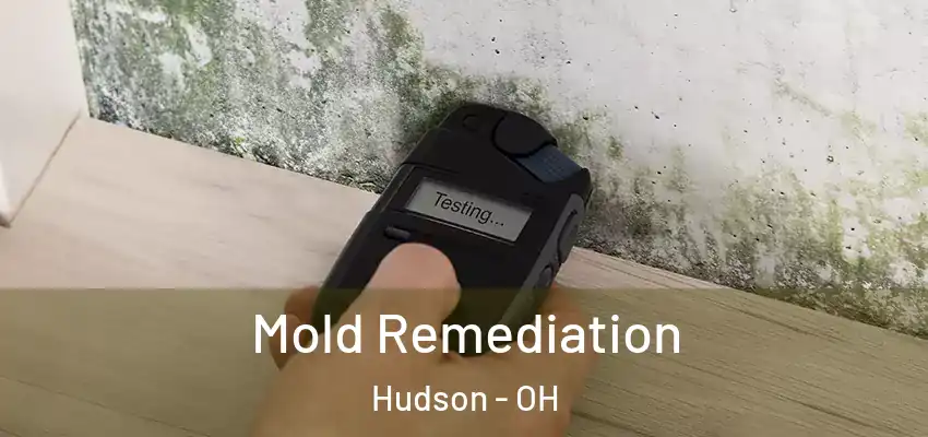 Mold Remediation Hudson - OH