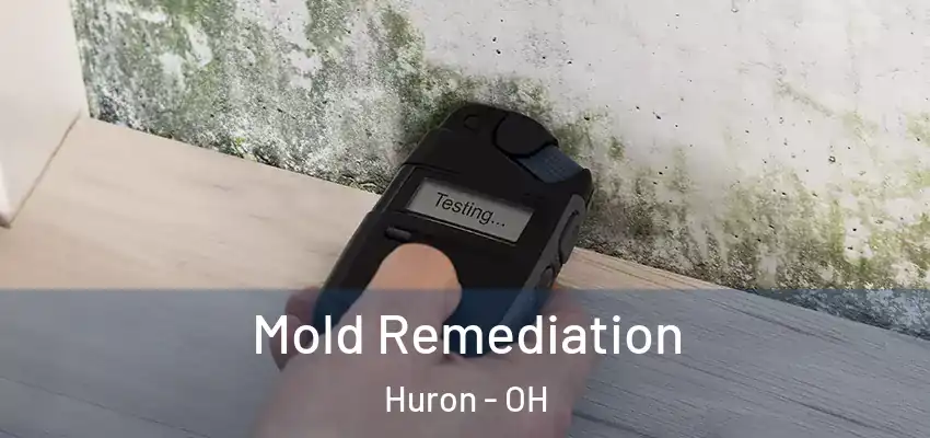  Mold Remediation Huron - OH
