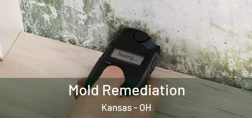 Mold Remediation Kansas - OH