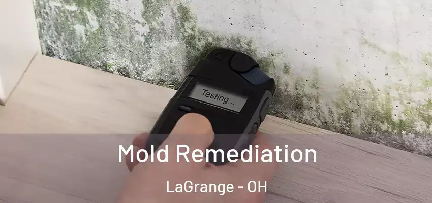  Mold Remediation LaGrange - OH