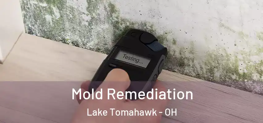 Mold Remediation Lake Tomahawk - OH