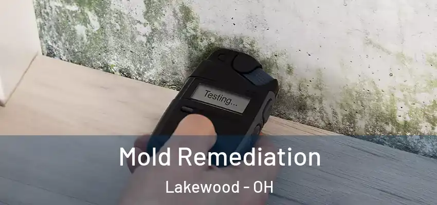  Mold Remediation Lakewood - OH