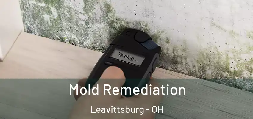 Mold Remediation Leavittsburg - OH