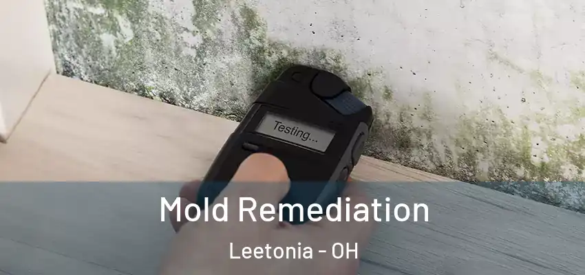  Mold Remediation Leetonia - OH