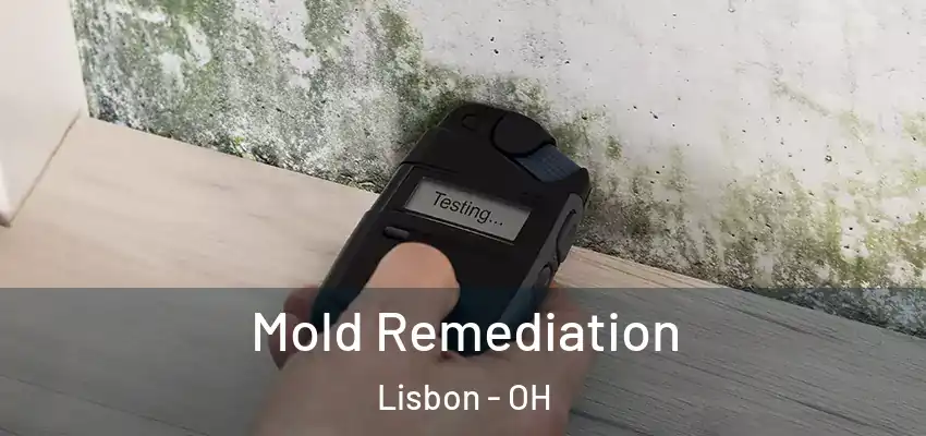 Mold Remediation Lisbon - OH