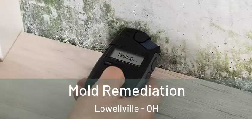  Mold Remediation Lowellville - OH