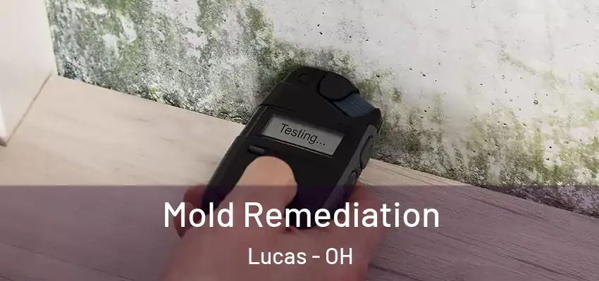 Mold Remediation Lucas - OH